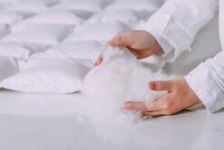 Daunendecke VELASCO Premium In Weiß -Heimtextilien Verkauf gmd living daunendecke velasco premium in weiss 4